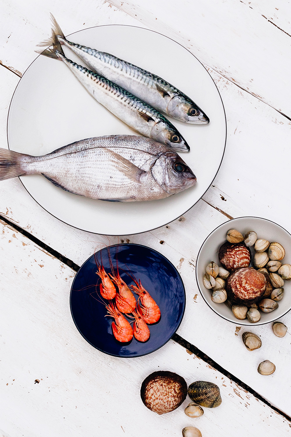 revol-equinoxe-aude-lemaitre-35 revol-equinoxe-aude-lemaitre-35